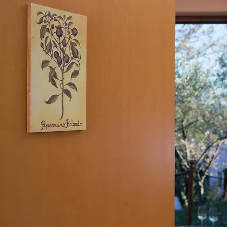 Hotel La Collina Di