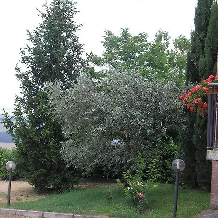 La Collina Di Collevalenza