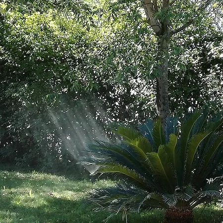 Hotel La Collina Di