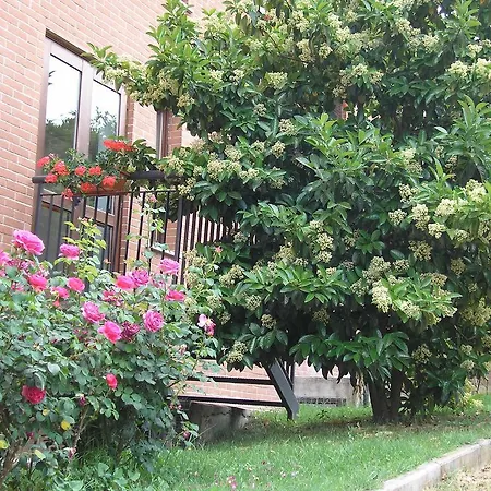 La Collina Di 3*